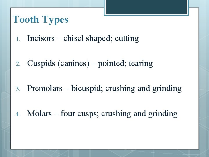 Tooth Types 1. Incisors – chisel shaped; cutting 2. Cuspids (canines) – pointed; tearing