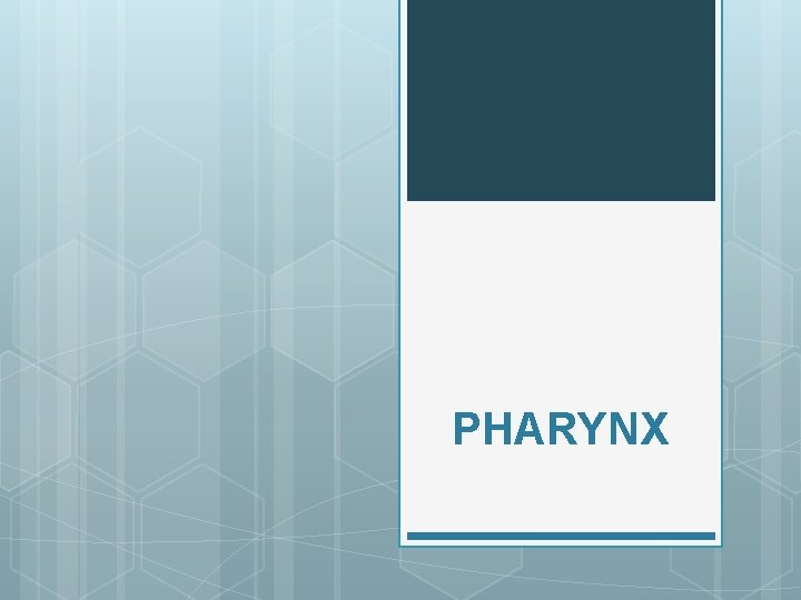 PHARYNX 