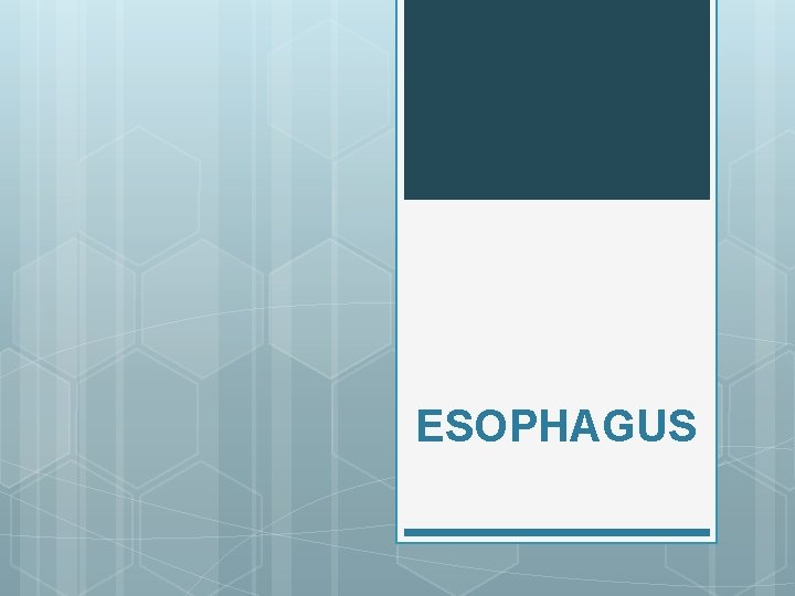 ESOPHAGUS 