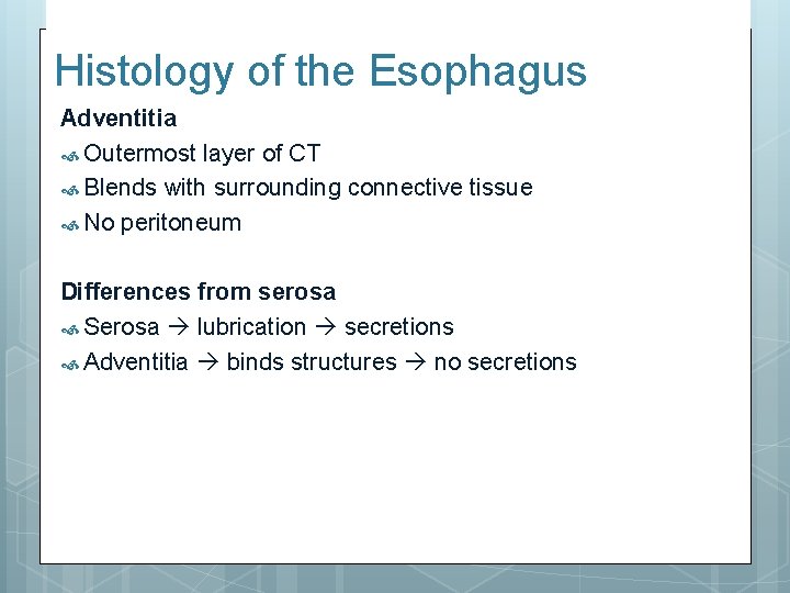 Histology of the Esophagus Adventitia Outermost layer of CT Blends with surrounding connective tissue