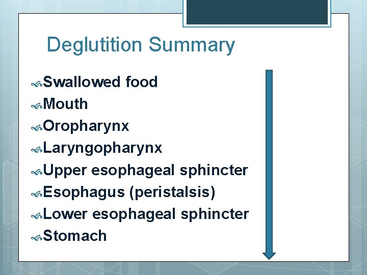 Deglutition Summary Swallowed food Mouth Oropharynx Laryngopharynx Upper esophageal sphincter Esophagus (peristalsis) Lower esophageal