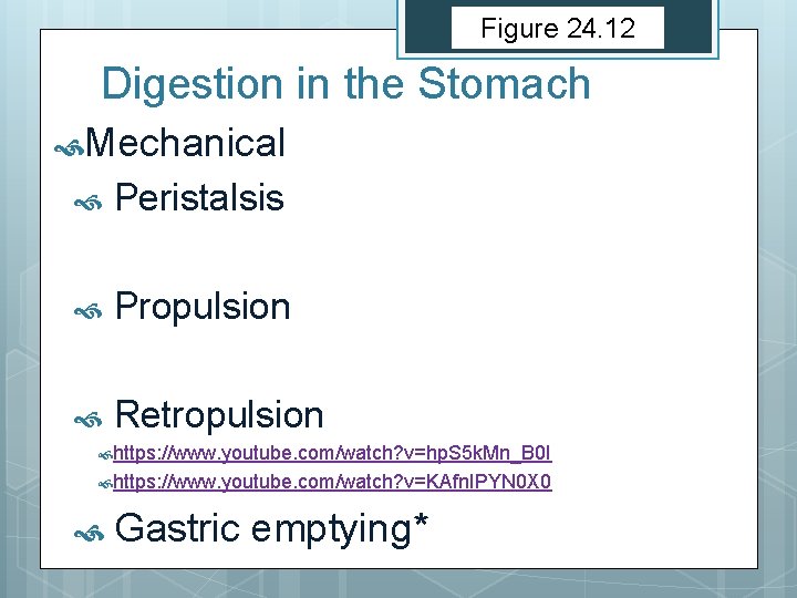 Figure 24. 12 Digestion in the Stomach Mechanical Peristalsis Propulsion Retropulsion https: //www. youtube.