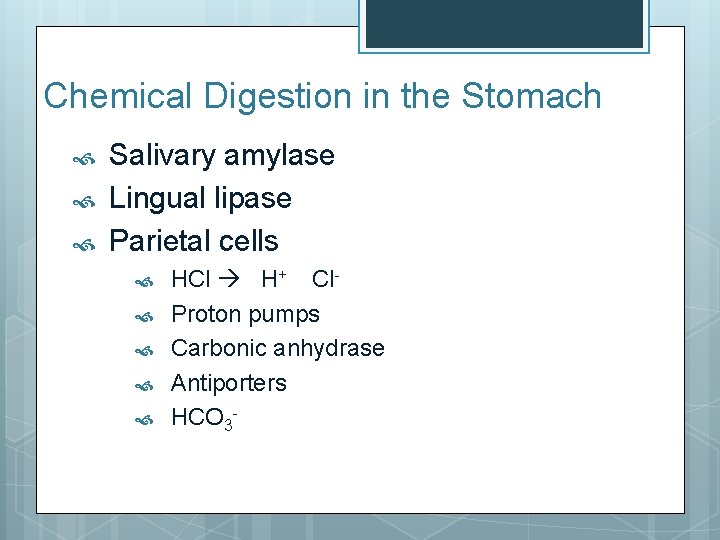 Chemical Digestion in the Stomach Salivary amylase Lingual lipase Parietal cells HCl H+ Cl.