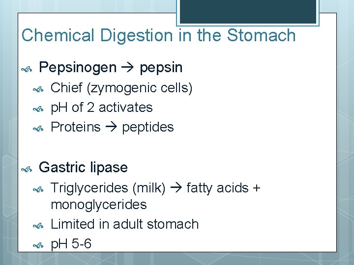 Chemical Digestion in the Stomach Pepsinogen pepsin Chief (zymogenic cells) p. H of 2