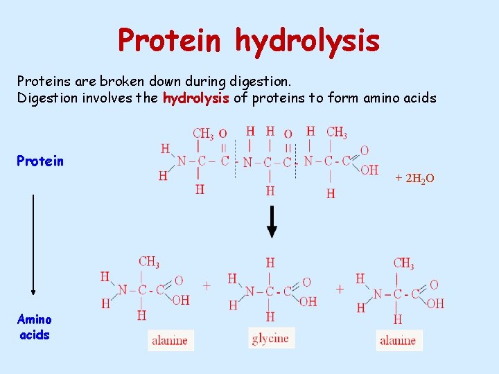 Protein hydrolysis Proteins are broken down during digestion. Digestion involves the hydrolysis of proteins