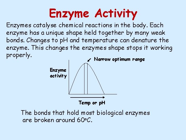 Enzyme Activity Enzymes catalyse chemical reactions in the body. Each enzyme has a unique