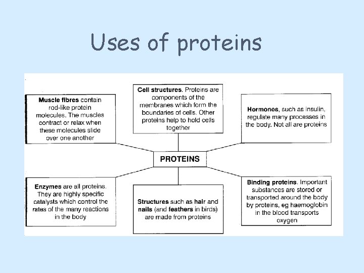 Uses of proteins 