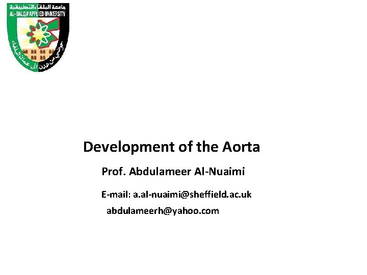 Development of the Aorta Prof. Abdulameer Al-Nuaimi E-mail: a. al-nuaimi@sheffield. ac. uk abdulameerh@yahoo. com