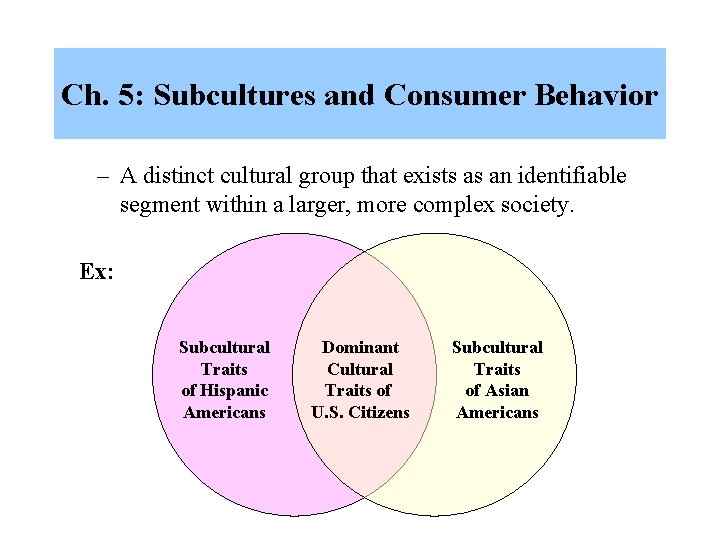 Ch. 5: Subcultures and Consumer Behavior – A distinct cultural group that exists as