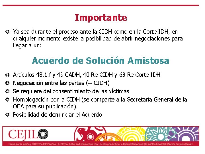Importante Ya sea durante el proceso ante la CIDH como en la Corte IDH,