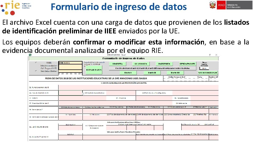 Formulario de ingreso de datos El archivo Excel cuenta con una carga de datos