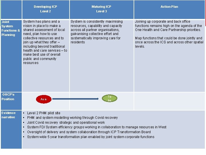 Developing ICP Level 2 Maturing ICP Level 3 Action Plan Joint System Functions &