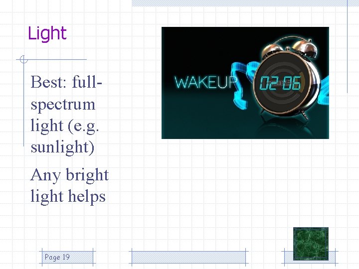 Light Best: fullspectrum light (e. g. sunlight) Any bright light helps Page 19 