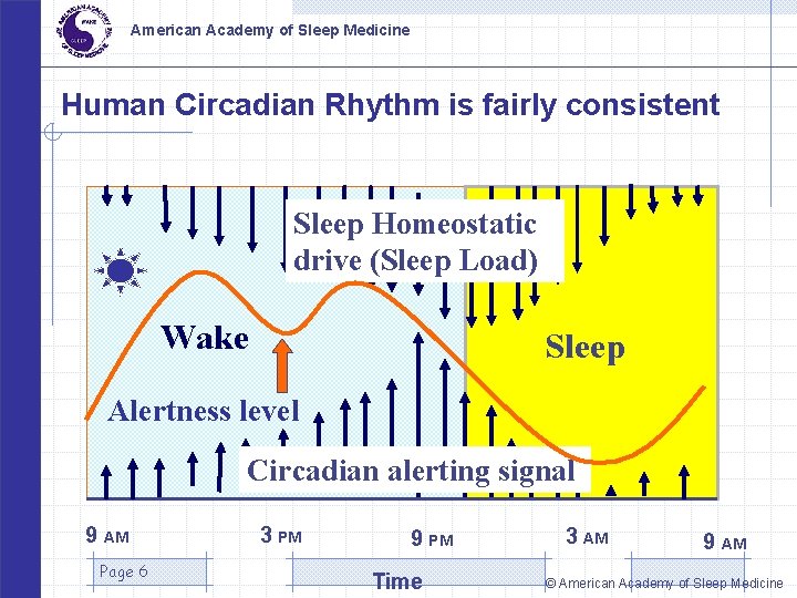 American Academy of Sleep Medicine Human Circadian Rhythm is fairly consistent Sleep Homeostatic drive