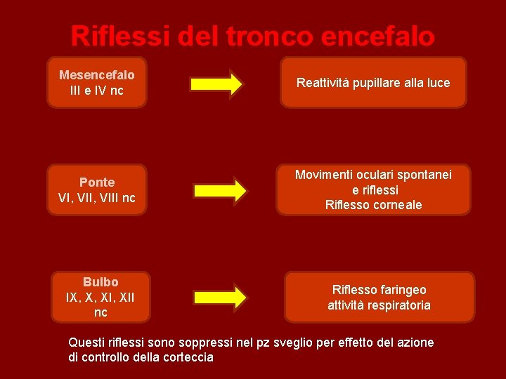 Riflessi del tronco encefalo Mesencefalo III e IV nc Reattività pupillare alla luce Ponte