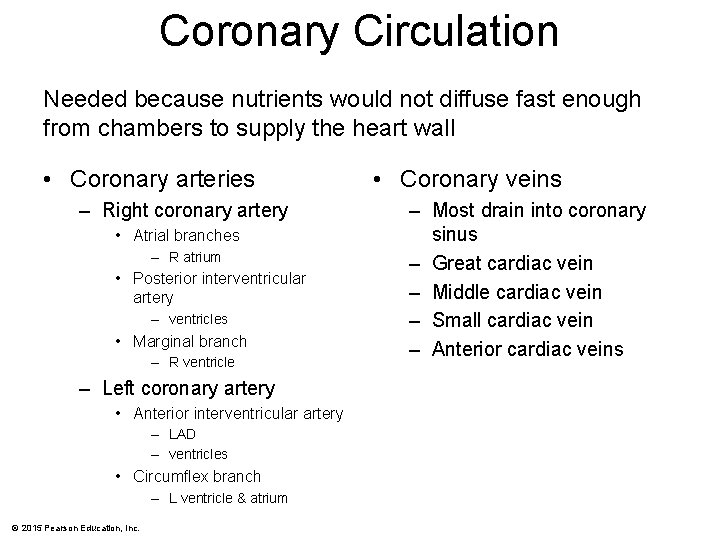 Coronary Circulation Needed because nutrients would not diffuse fast enough from chambers to supply
