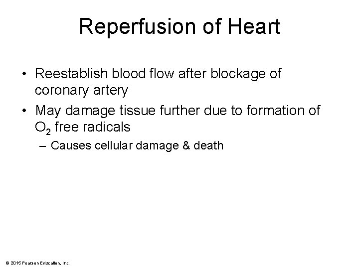 Reperfusion of Heart • Reestablish blood flow after blockage of coronary artery • May