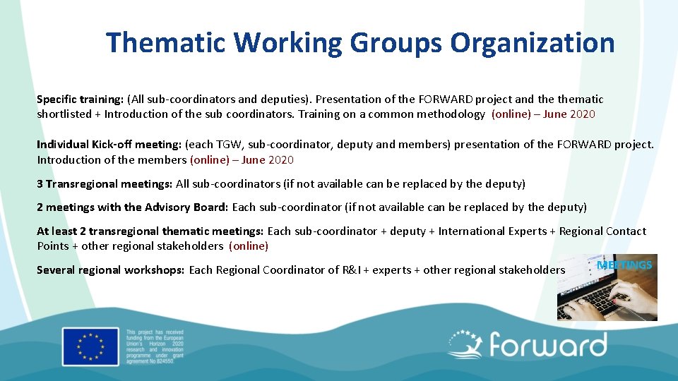 Thematic Working Groups Organization Specific training: (All sub-coordinators and deputies). Presentation of the FORWARD