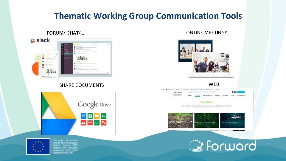 Thematic Working Group Communication Tools FORUM/ CHAT/ … SHARE DOCUMENTS ONLINE MEETINGS WEB 