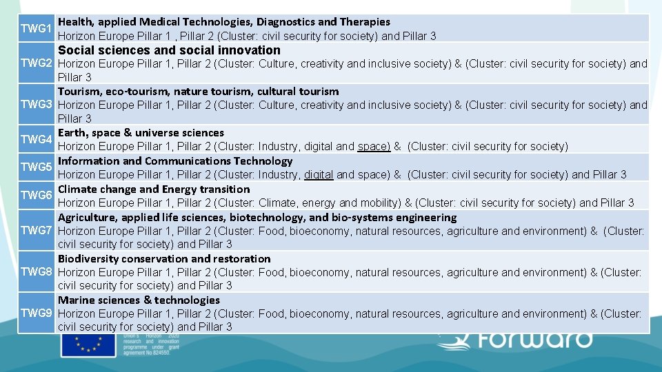 TWG 1 Health, applied Medical Technologies, Diagnostics and Therapies Horizon Europe Pillar 1 ,