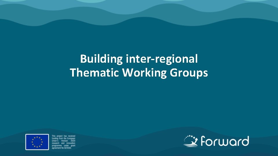 Building inter-regional Thematic Working Groups 