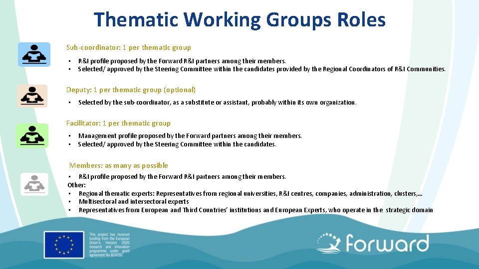 Thematic Working Groups Roles Sub-coordinator: 1 per thematic group • • R&I profile proposed