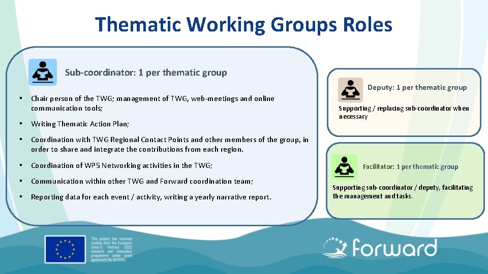 Thematic Working Groups Roles Sub-coordinator: 1 per thematic group Deputy: 1 per thematic group