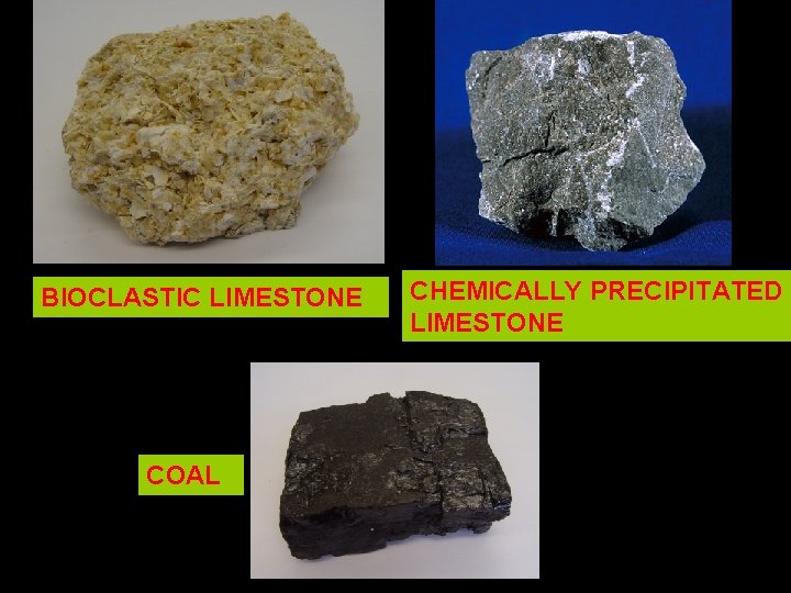 BIOCLASTIC LIMESTONE COAL CHEMICALLY PRECIPITATED LIMESTONE 