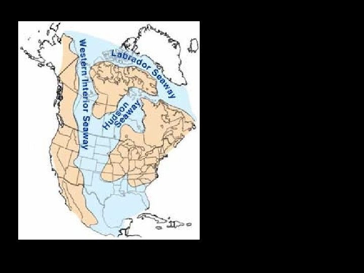 During the Cretaceous Period (about 120 mya) a shallow inland sea split North America.