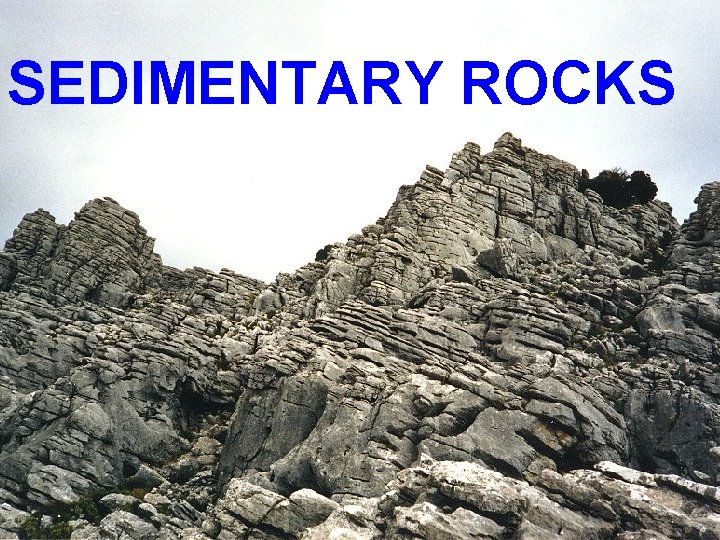 SEDIMENTARY ROCKS 