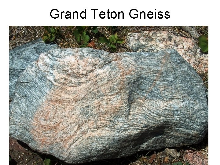 Grand Teton Gneiss 