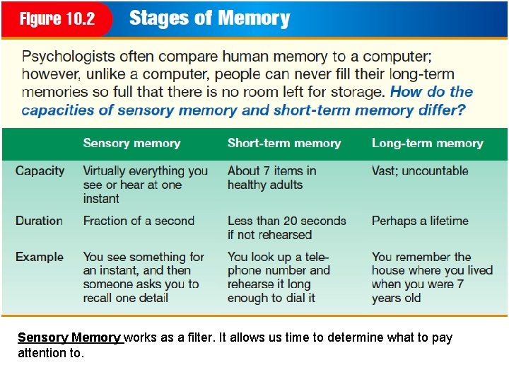 Sensory Memory works as a filter. It allows us time to determine what to Sensory Memory works as a filter. It allows us time to determine what to