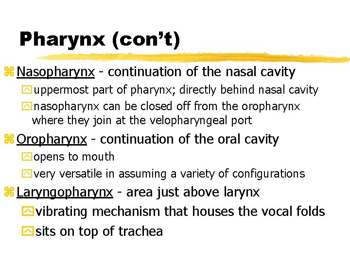 Pharynx (con’t) z Nasopharynx - continuation of the nasal cavity yuppermost part of pharynx;