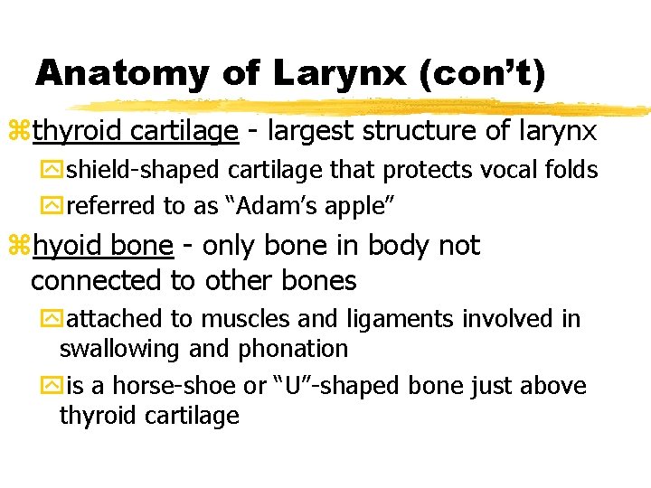 Anatomy of Larynx (con’t) zthyroid cartilage - largest structure of larynx yshield-shaped cartilage that