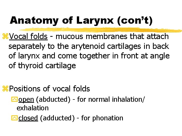 Anatomy of Larynx (con’t) z. Vocal folds - mucous membranes that attach separately to