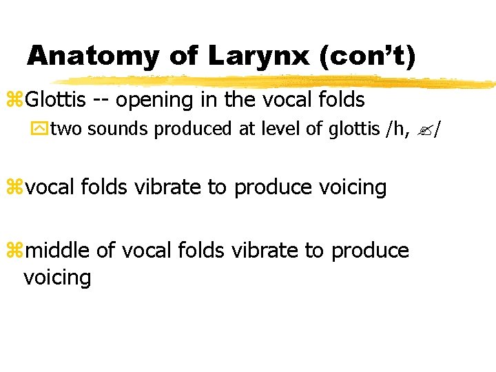 Anatomy of Larynx (con’t) z. Glottis -- opening in the vocal folds ytwo sounds