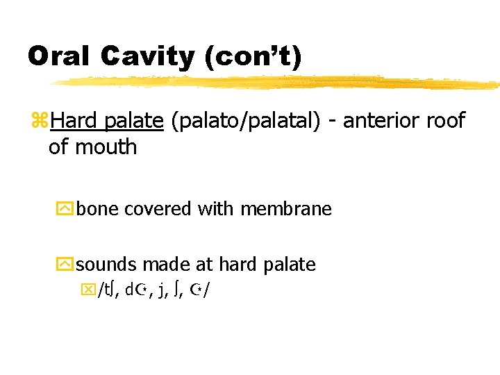 Oral Cavity (con’t) z. Hard palate (palato/palatal) - anterior roof of mouth ybone covered