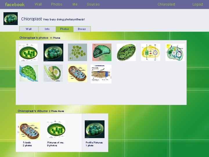 facebook Wall Photos Me Sources Chloroplast Very busy doing photosynthesis! Wall Info Chloroplast’s photos