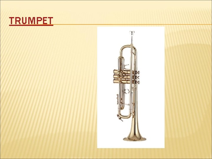 TRUMPET 