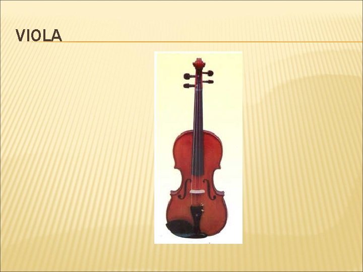 VIOLA 