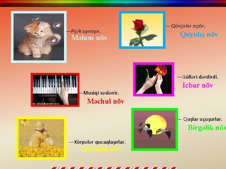 —Pişik oynayır. Məlum növ — Qönçələr açılır. Qayıdış növ —Gülləri dərdirdi. —Musiqi səslənir. Icbar