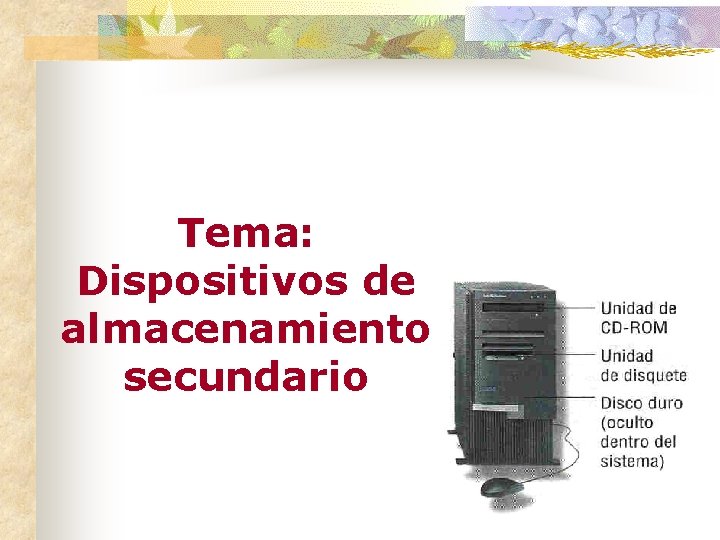 Tema: Dispositivos de almacenamiento secundario 