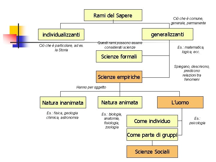 Rami del Sapere Ciò che è comune, generale, permanente generalizzanti individualizzanti Ciò che è