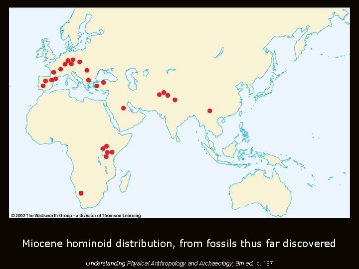Miocene hominoid distribution, from fossils thus far discovered Understanding Physical Anthropology and Archaeology, 9 Miocene hominoid distribution, from fossils thus far discovered Understanding Physical Anthropology and Archaeology, 9