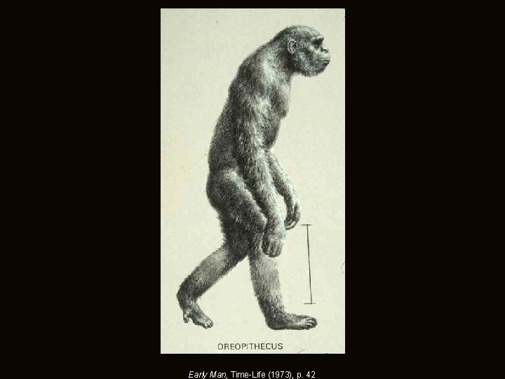Early Man, Time-Life (1973), p. 42 Early Man, Time-Life (1973), p. 42