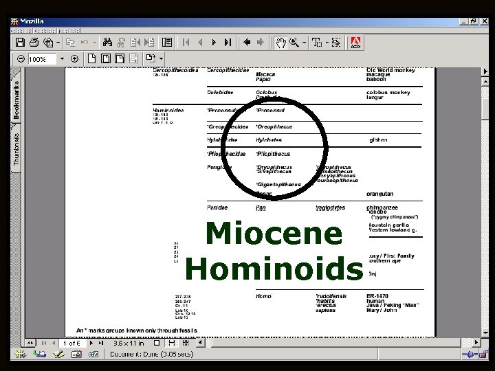 Miocene Hominoids Miocene Hominoids