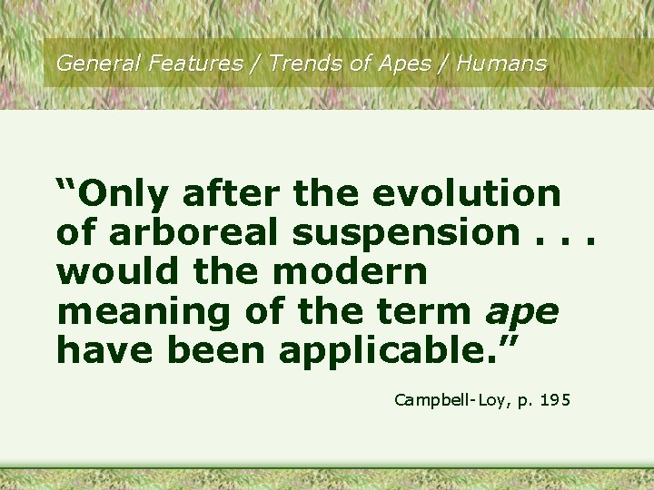 General Features / Trends of Apes / Humans “Only after the evolution of arboreal General Features / Trends of Apes / Humans “Only after the evolution of arboreal