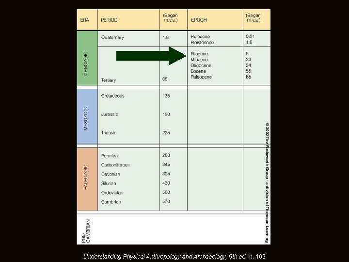 Understanding Physical Anthropology and Archaeology, 9 th ed. , p. 103 Understanding Physical Anthropology and Archaeology, 9 th ed. , p. 103