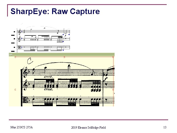 Sharp. Eye: Raw Capture Mus 253/CS 275 A 2019 Eleanor Selfridge-Field 13 