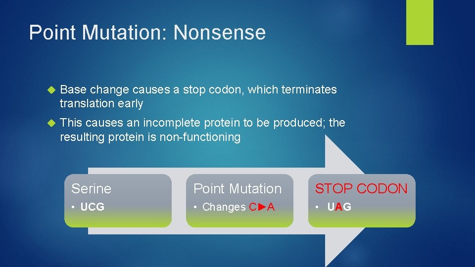 Point Mutation: Nonsense Base change causes a stop codon, which terminates translation early This